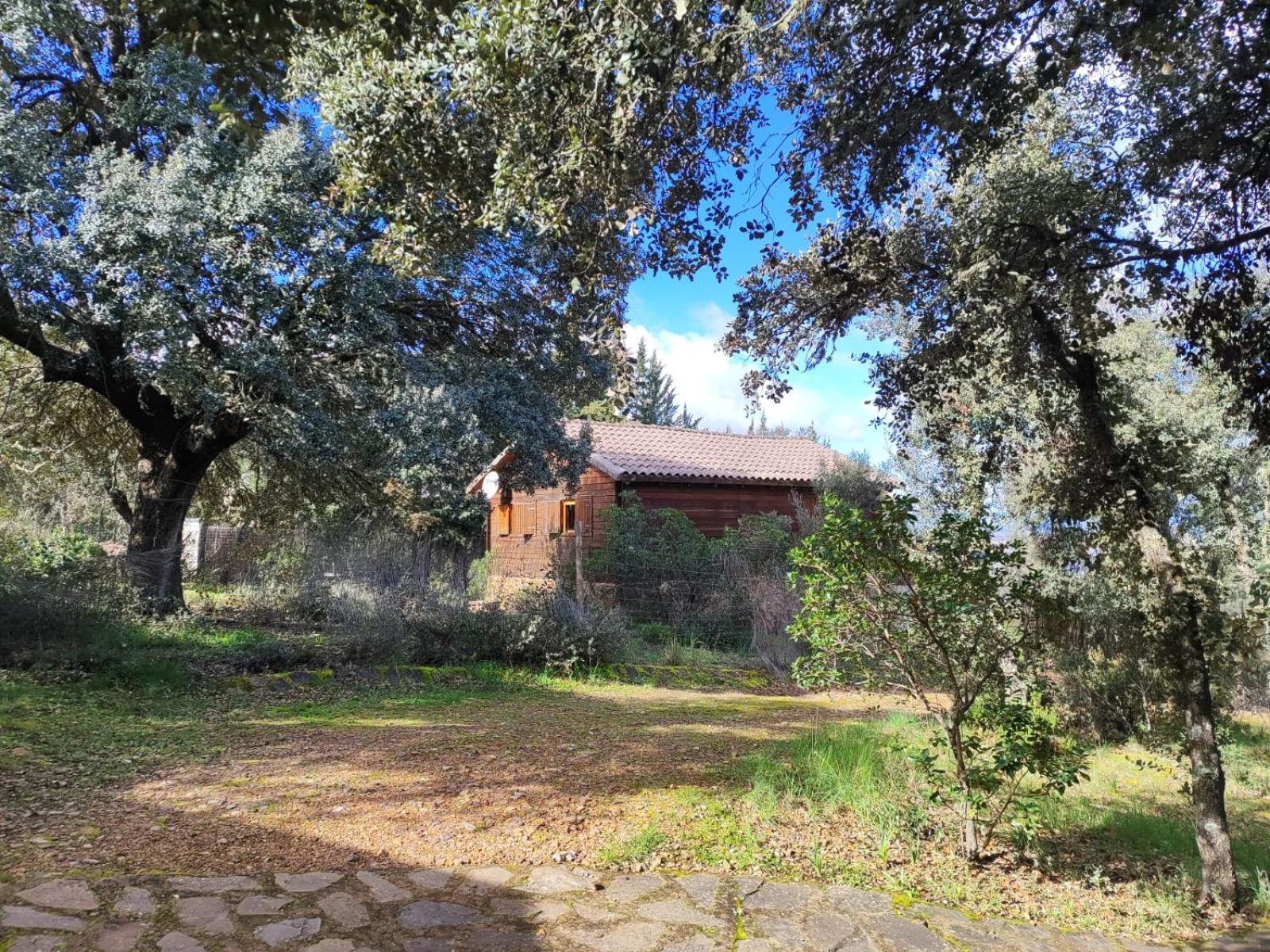 Nuevo Ecolodge Cabaneros Retuerta de Bullaque Exterior photo
